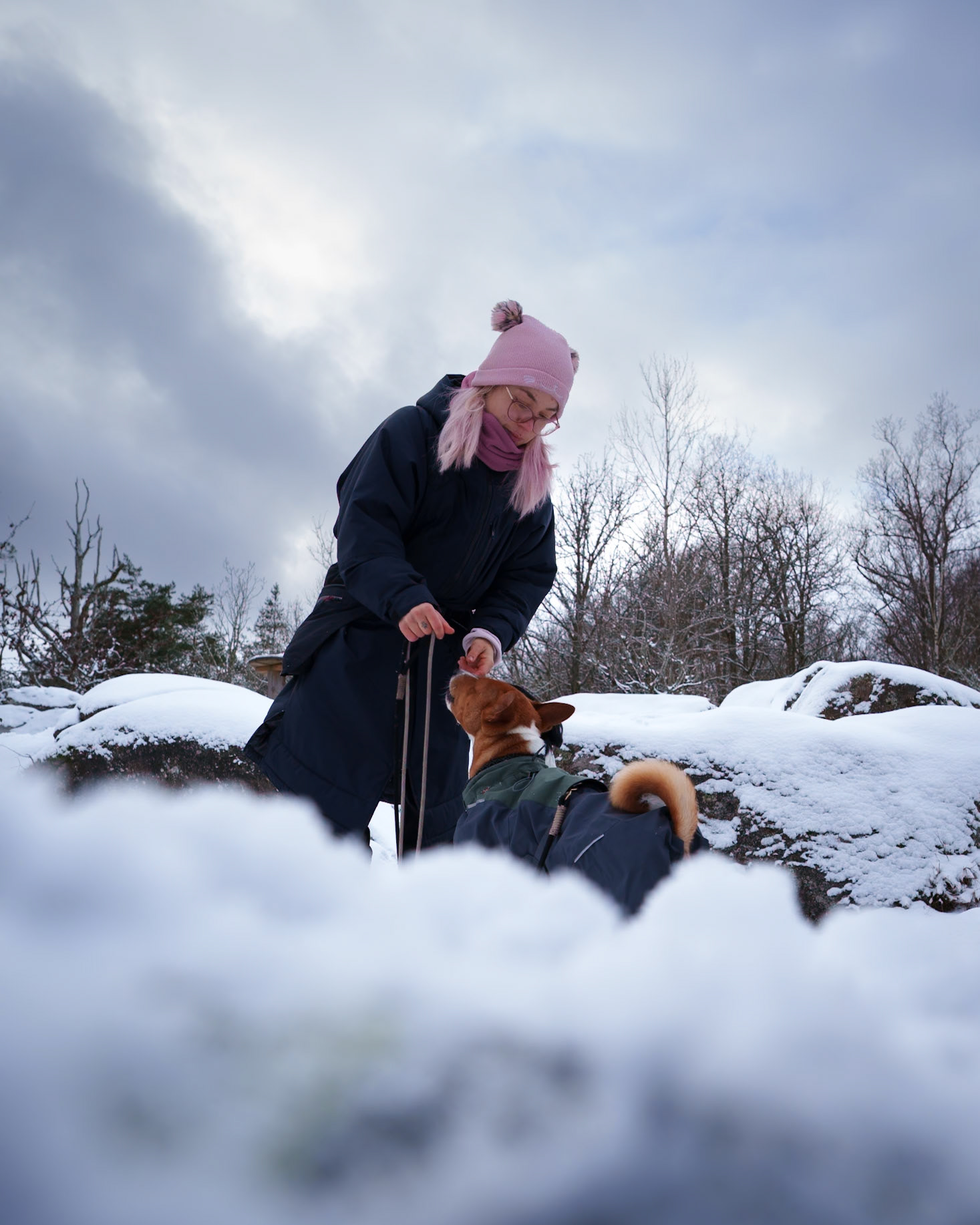 A Treat for a Good Boy