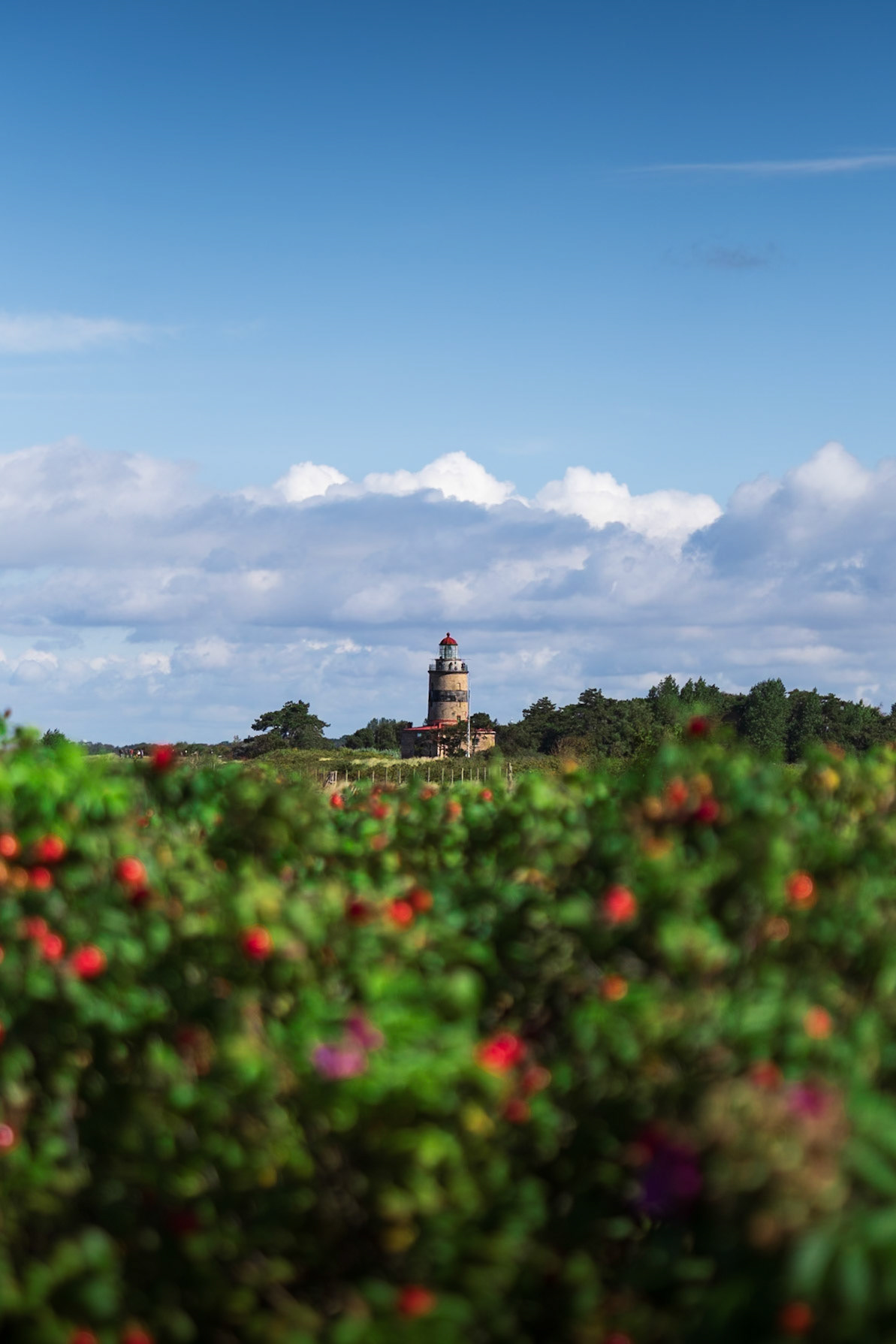 Falsterbo Lighthouse
