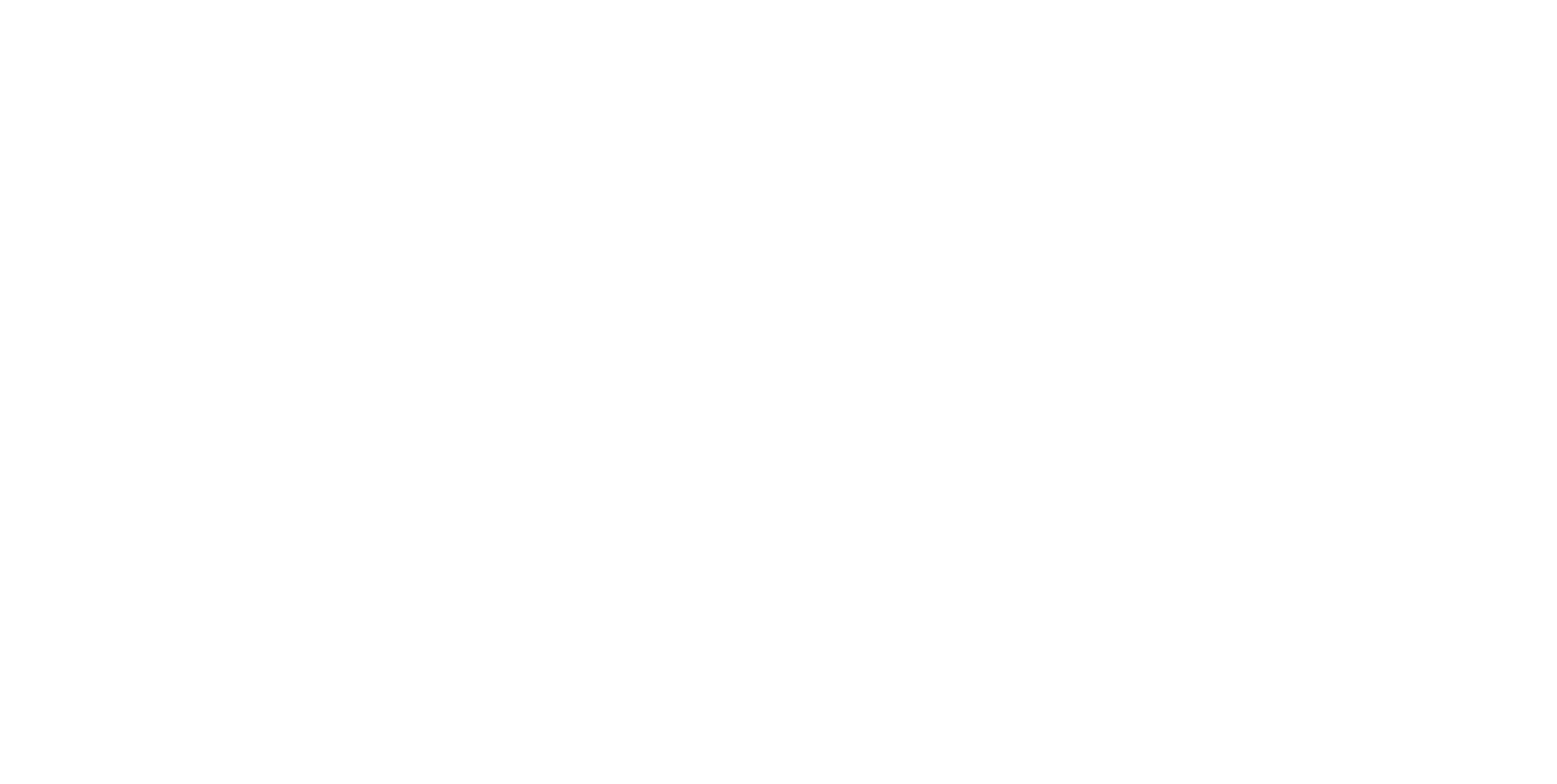 FSMedia