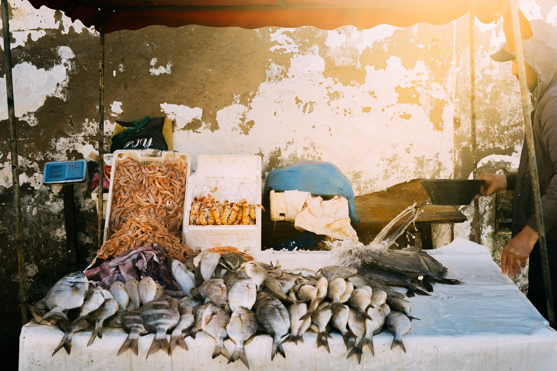 1801B - Essaouira