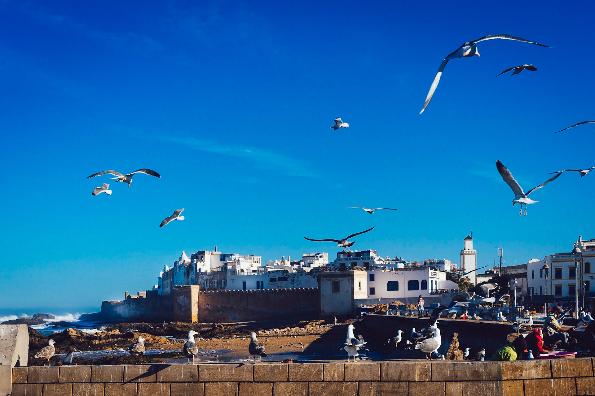 1801B - Essaouira