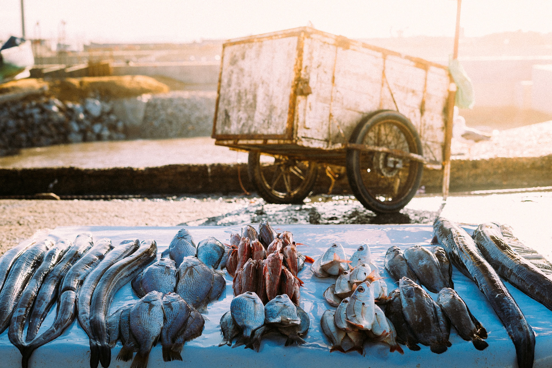 1801B - Essaouira