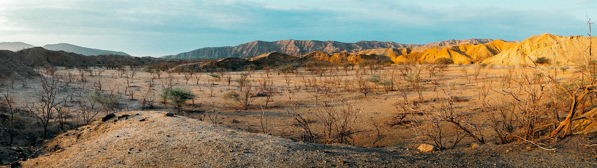 2202A - Colorful Desert