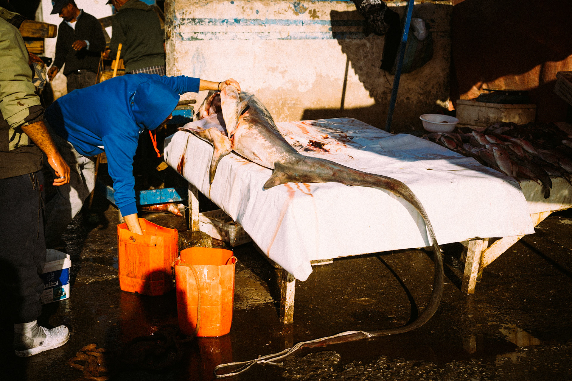 1801B - Essaouira