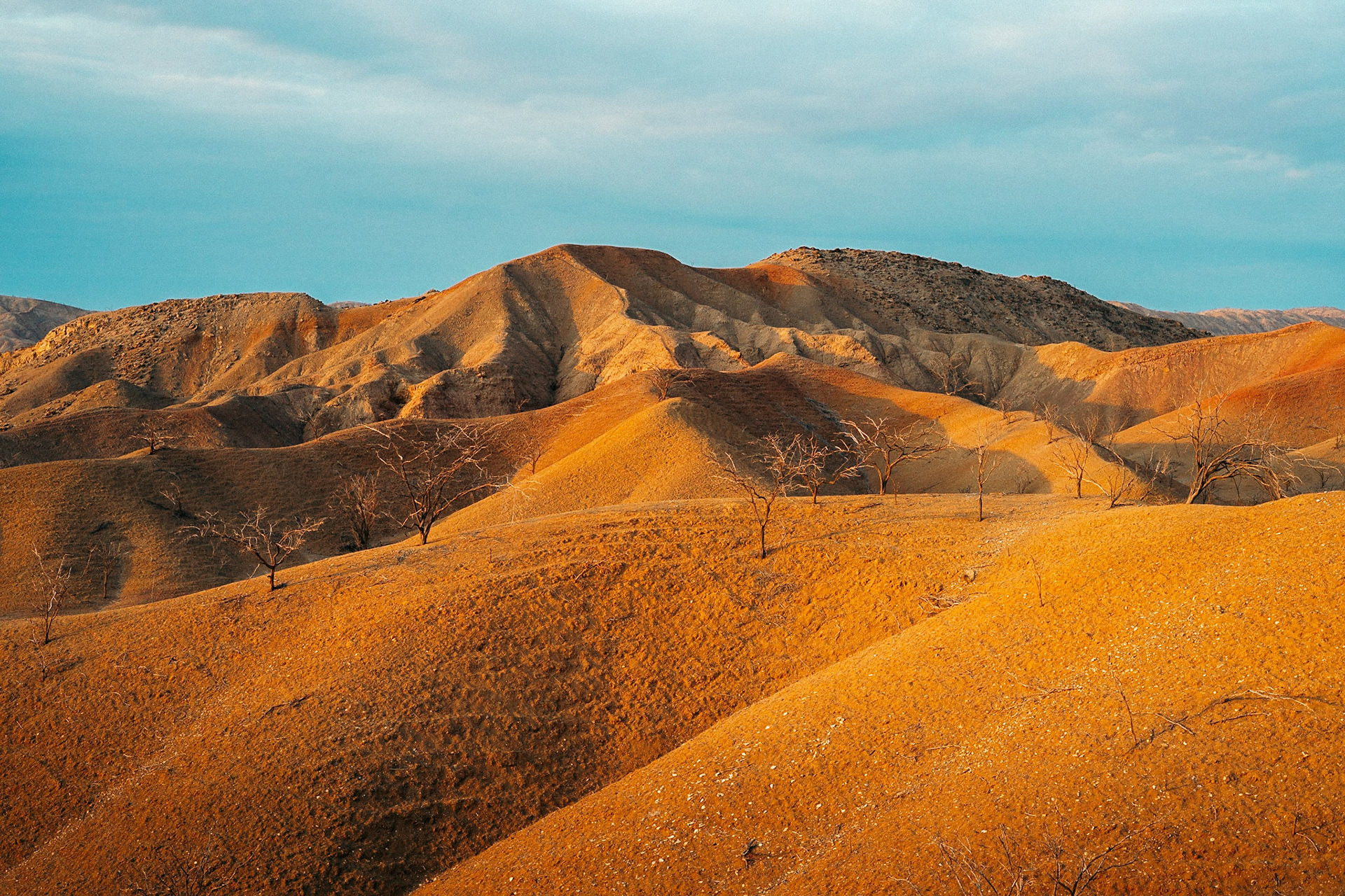 2202A - Colorful Desert