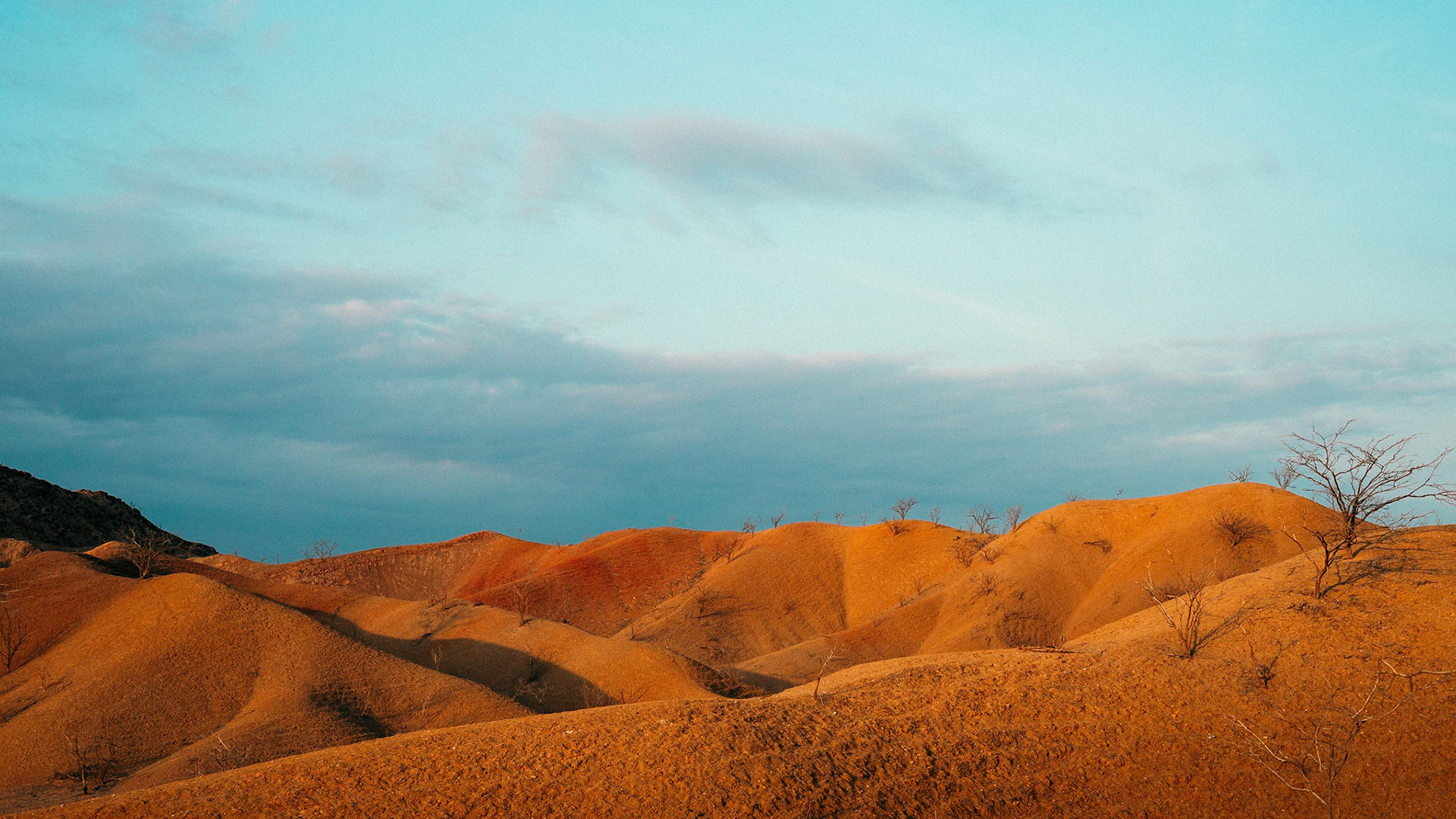 2202A - Colorful Desert