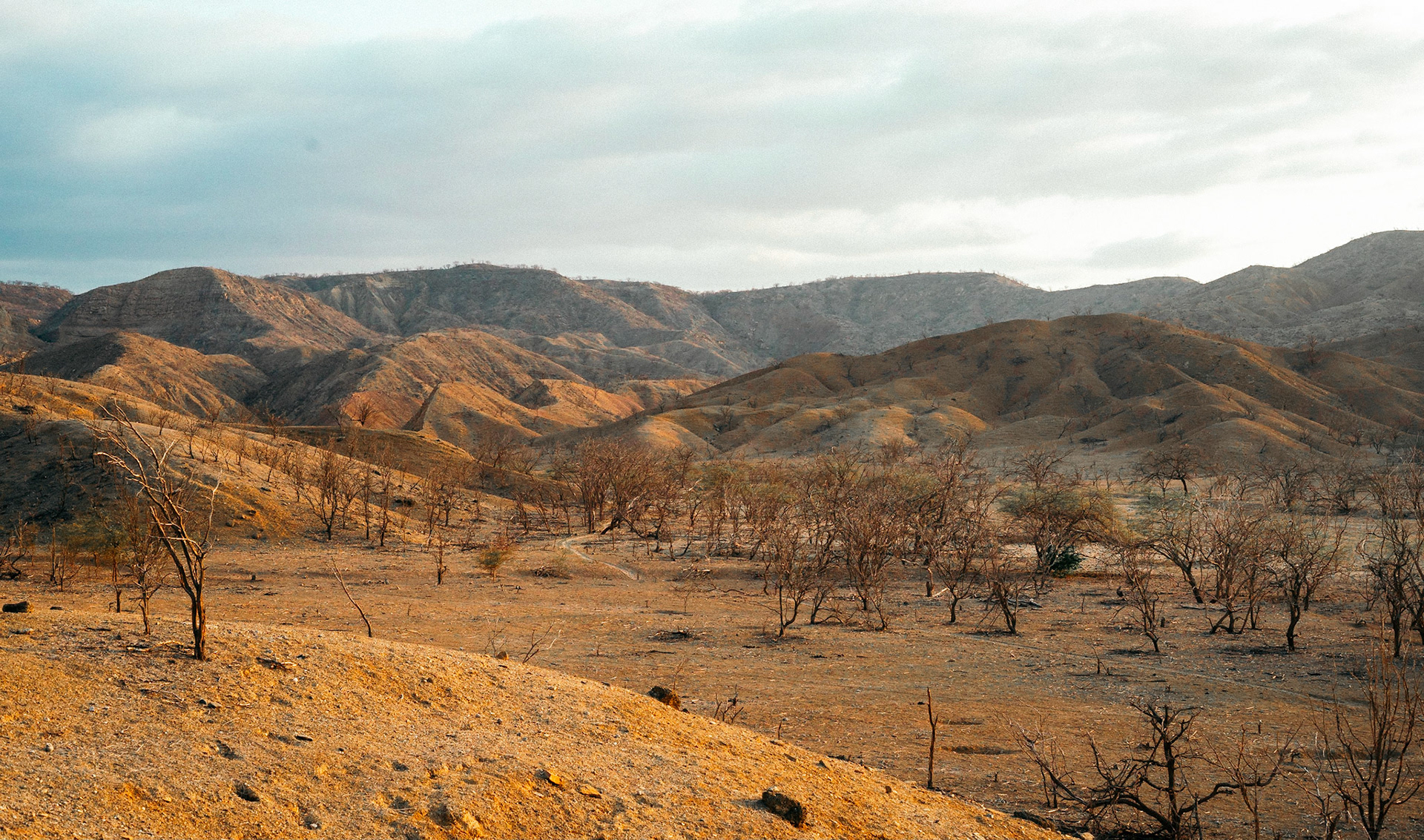 2202A - Colorful Desert