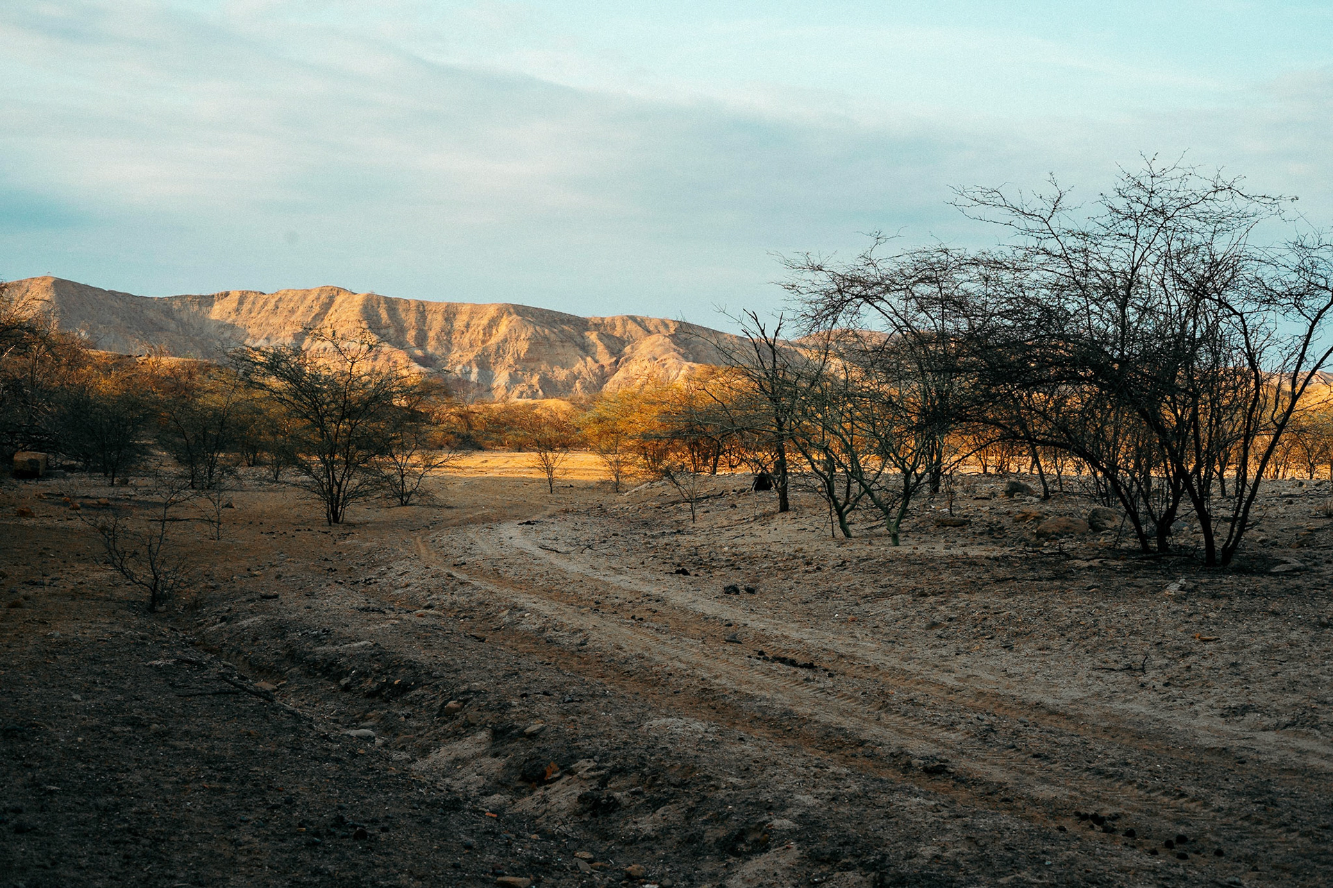 2202A - Colorful Desert