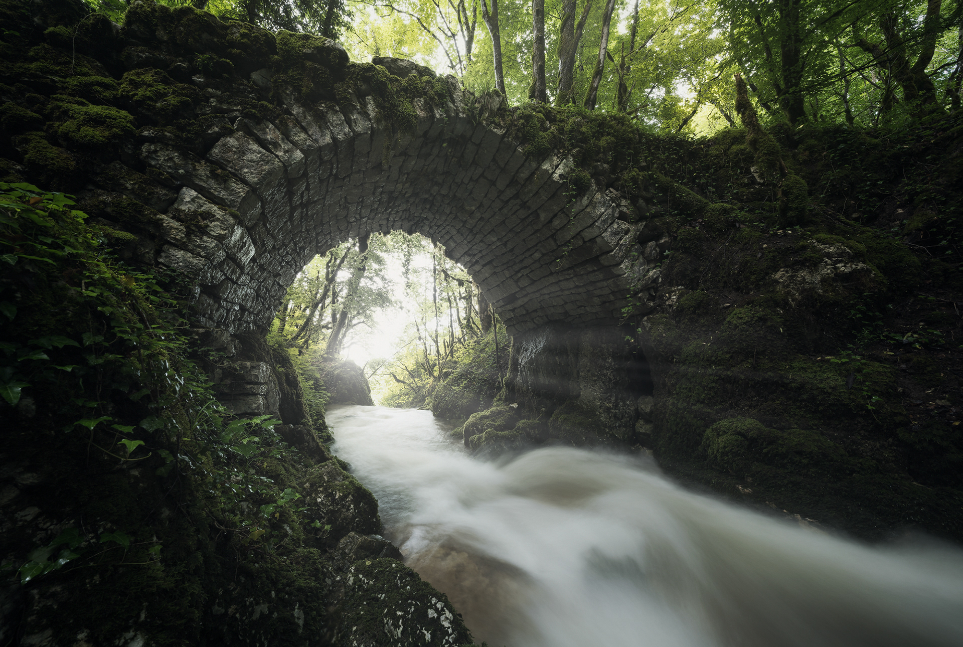 Il regno di Re Thranduil