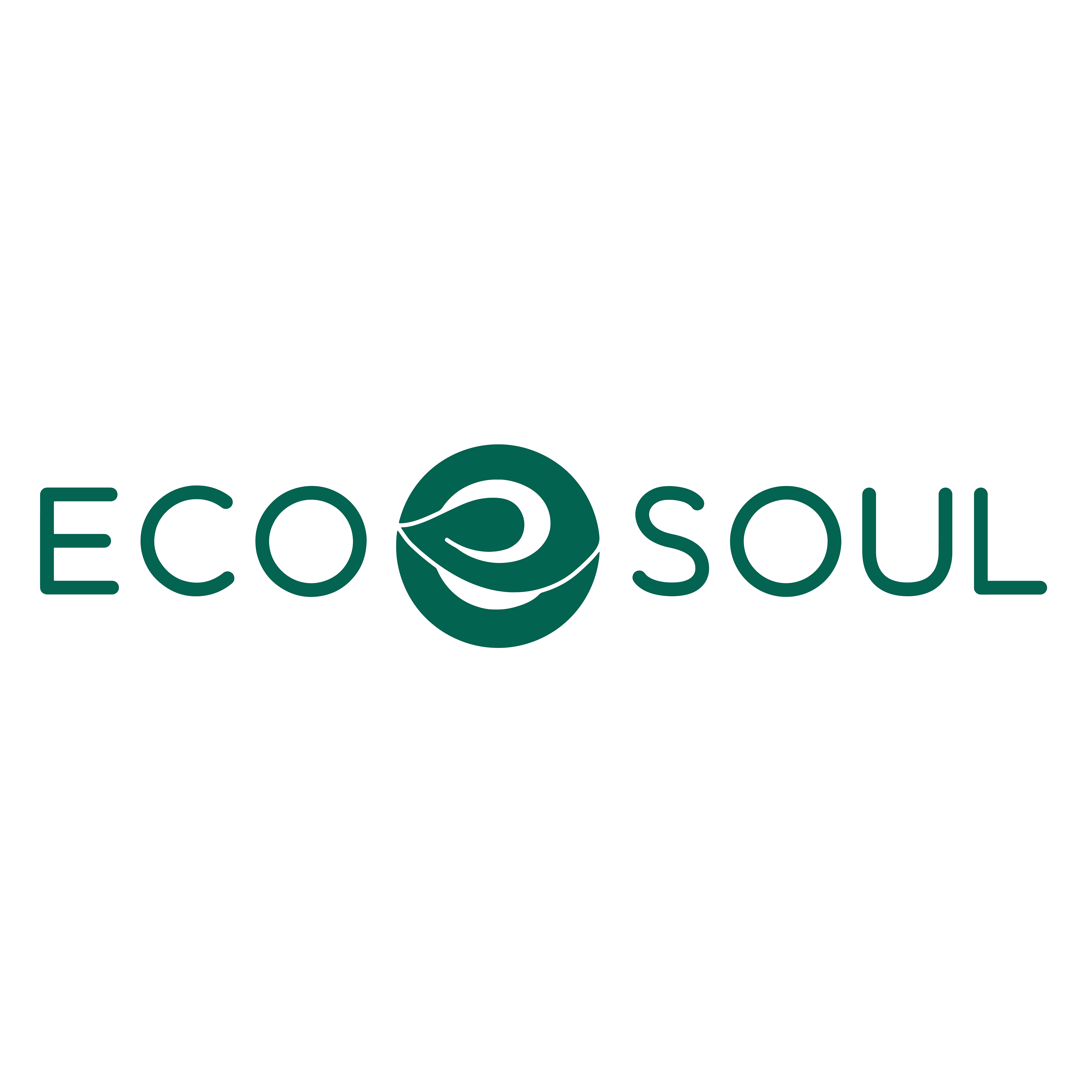 www.ecosoulhome.com