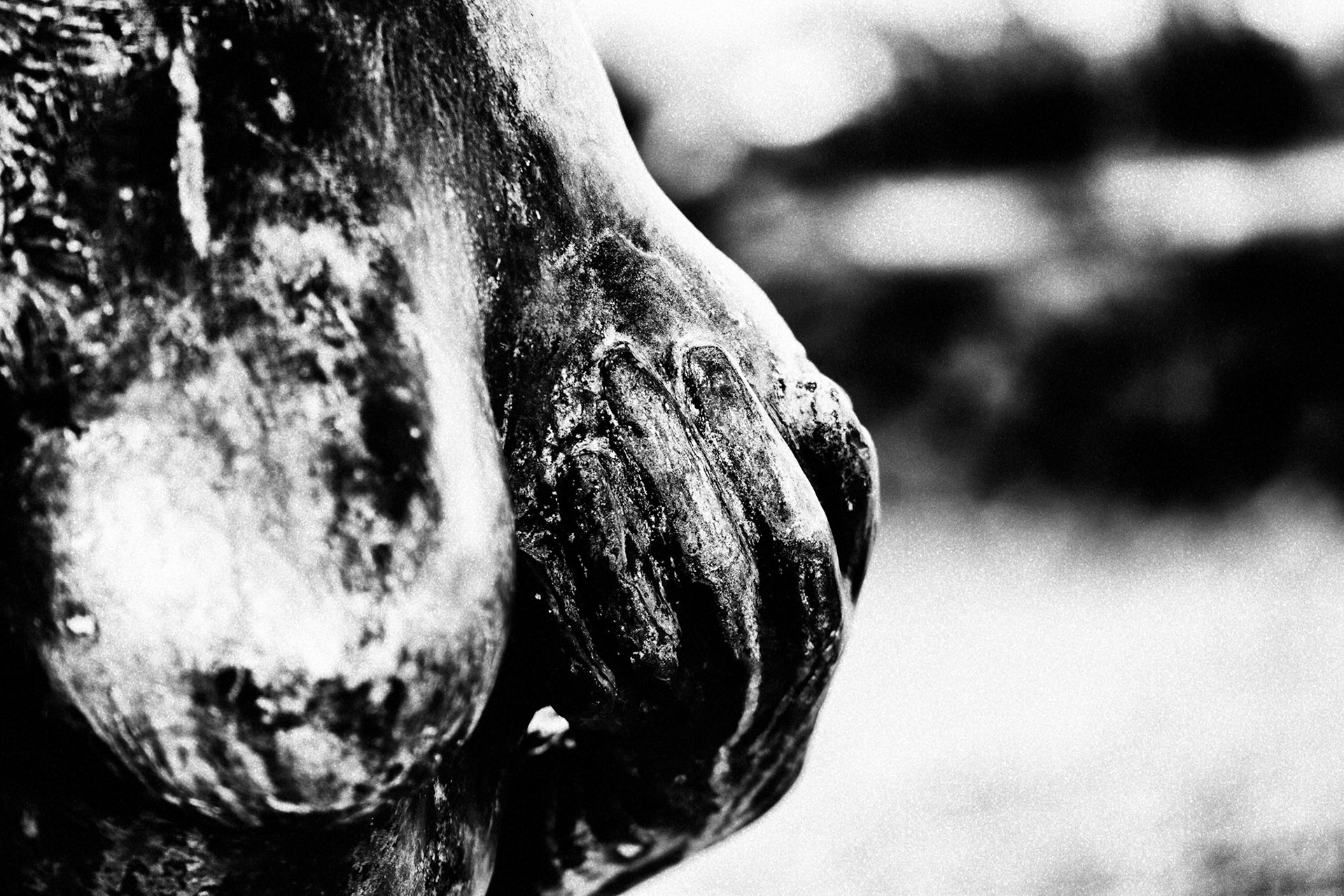 Photography Laurent Monserrat