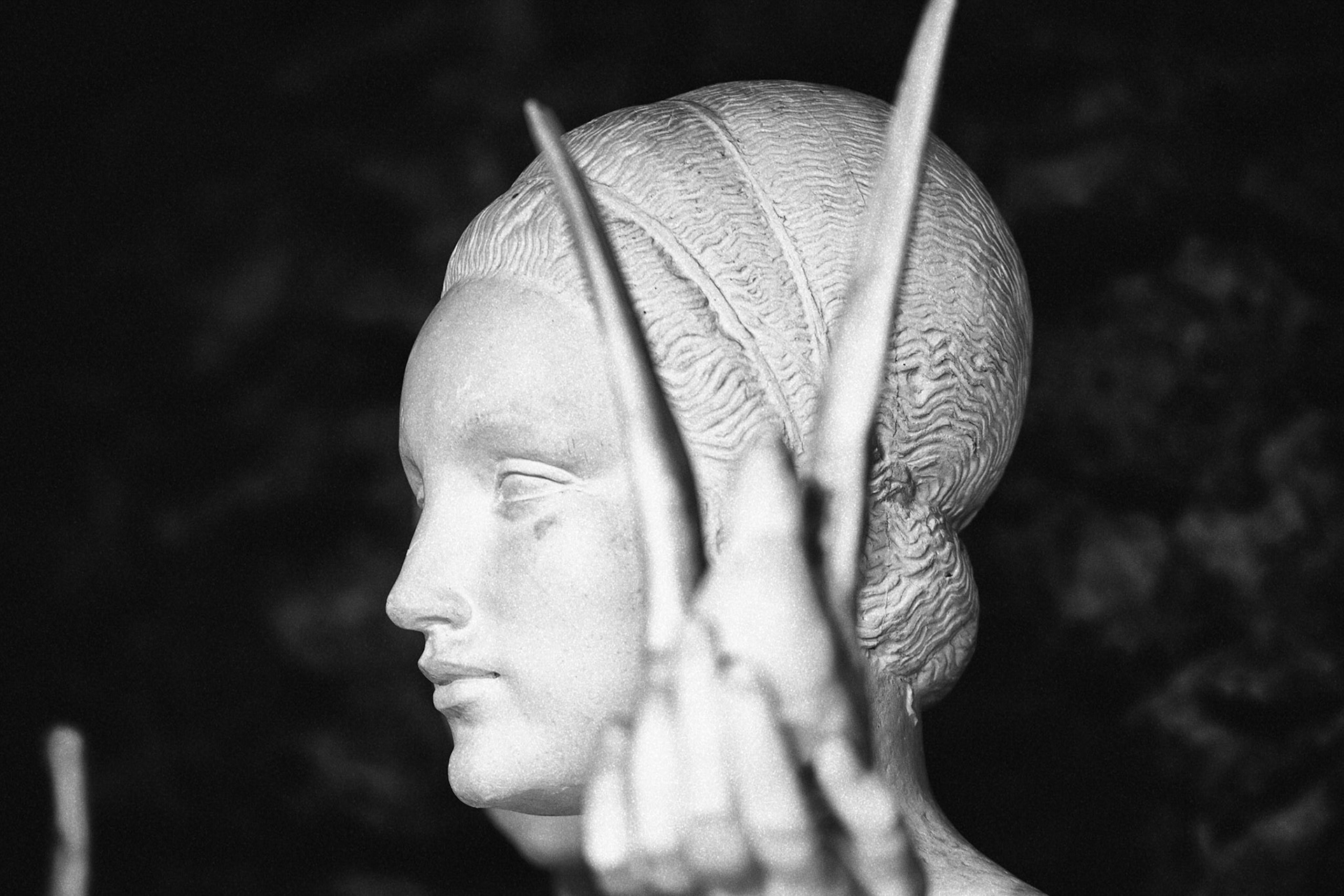 Photography Laurent Monserrat