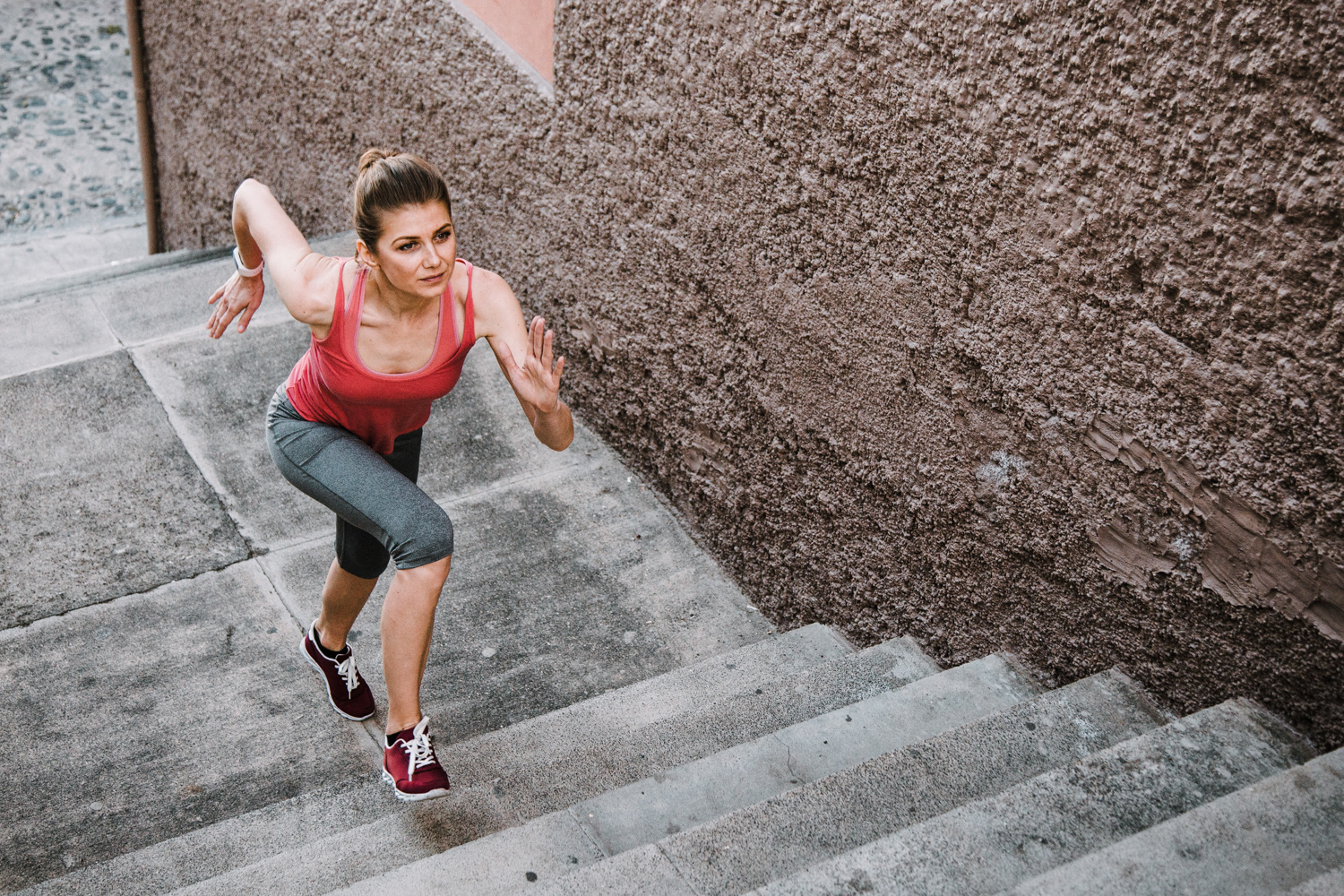 Polar Global (Still Photo)