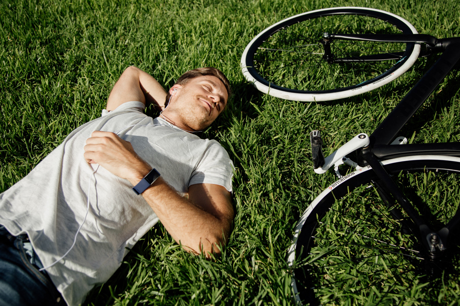 Polar Global (Still Photo)