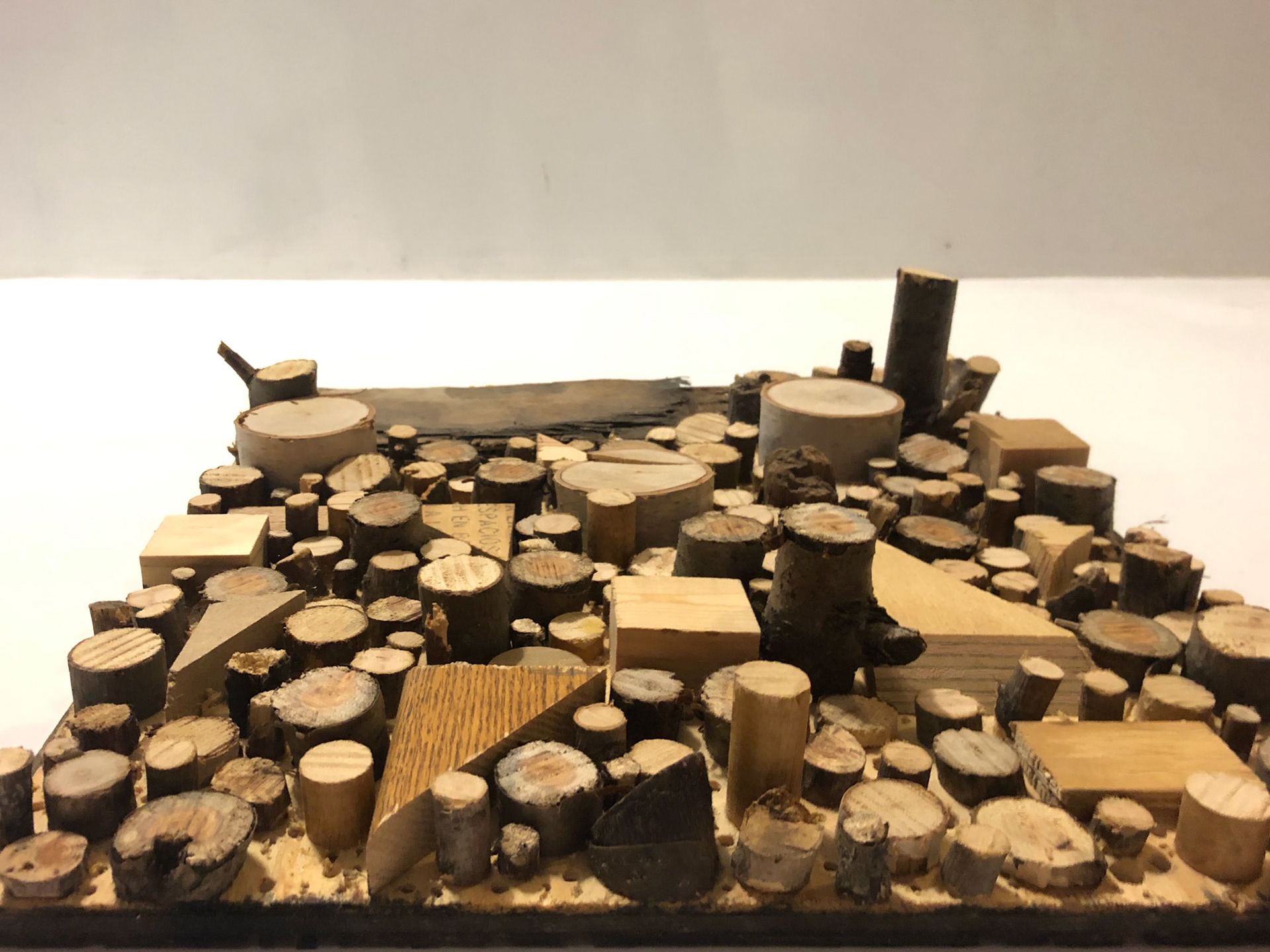 Wood Sculpture, 2018