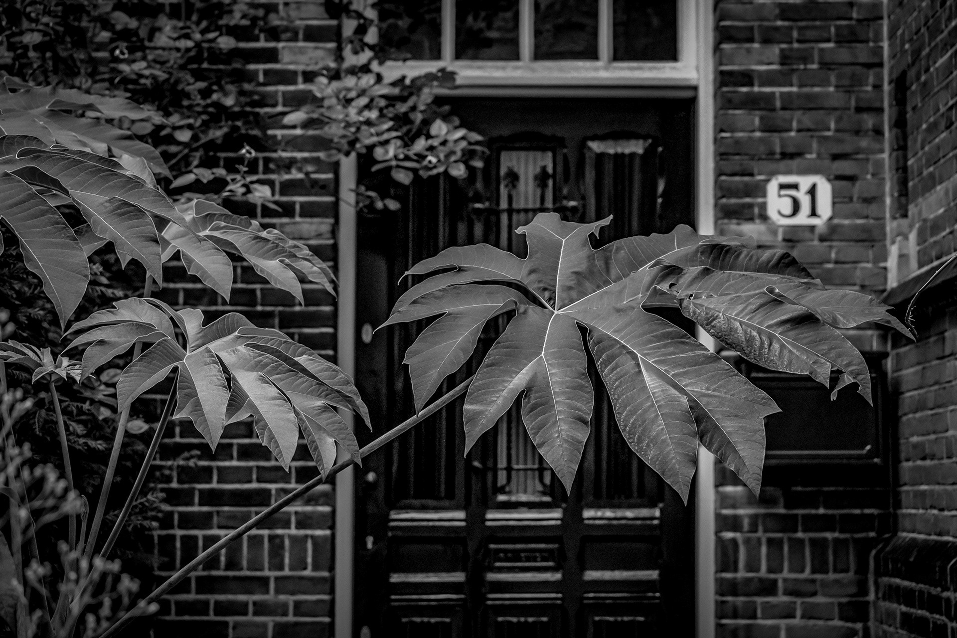 Amsterdam city walk