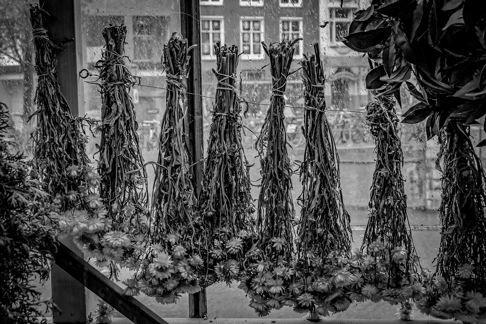 Amsterdam city walk