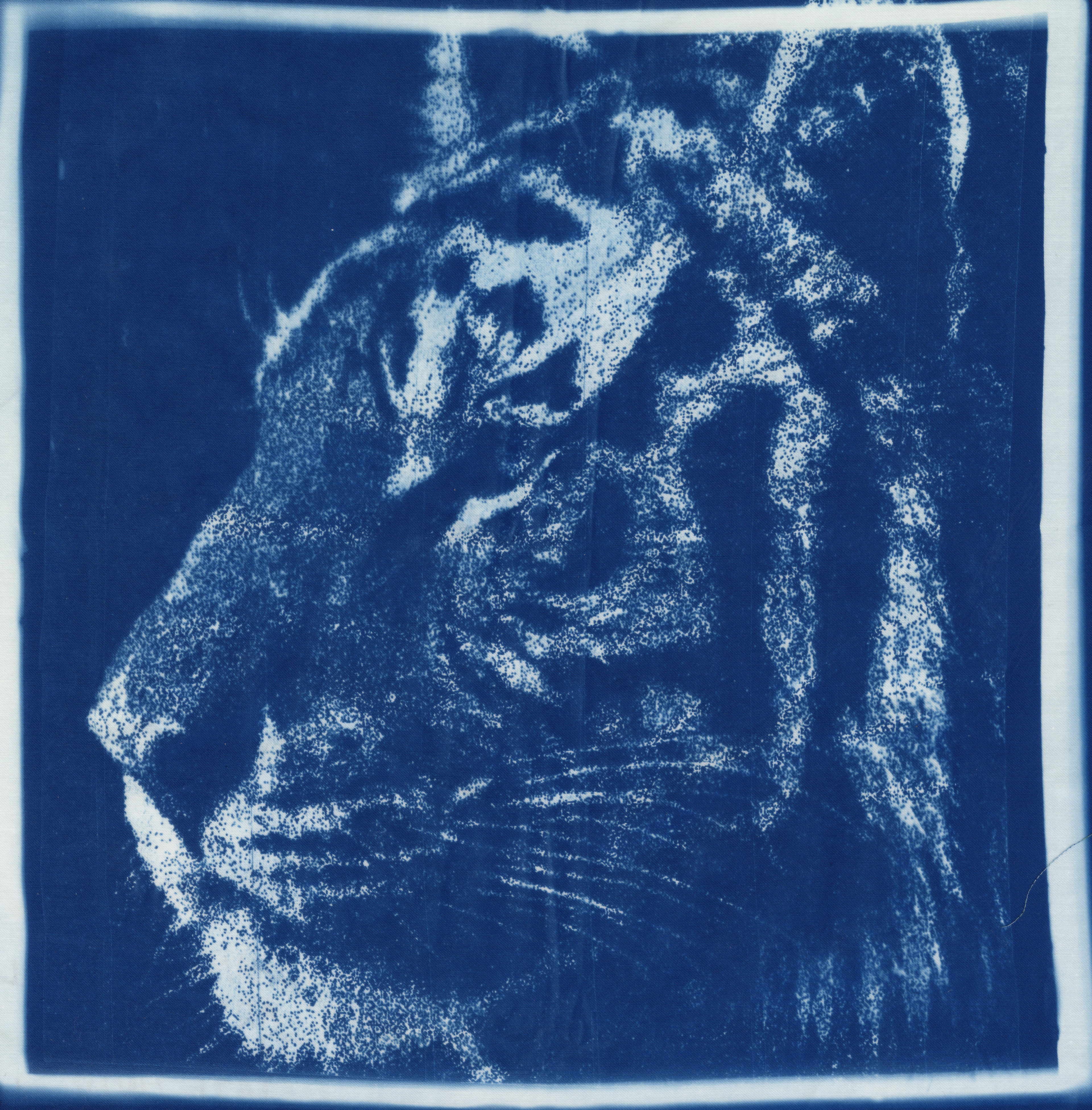 Cyanotype on cloth