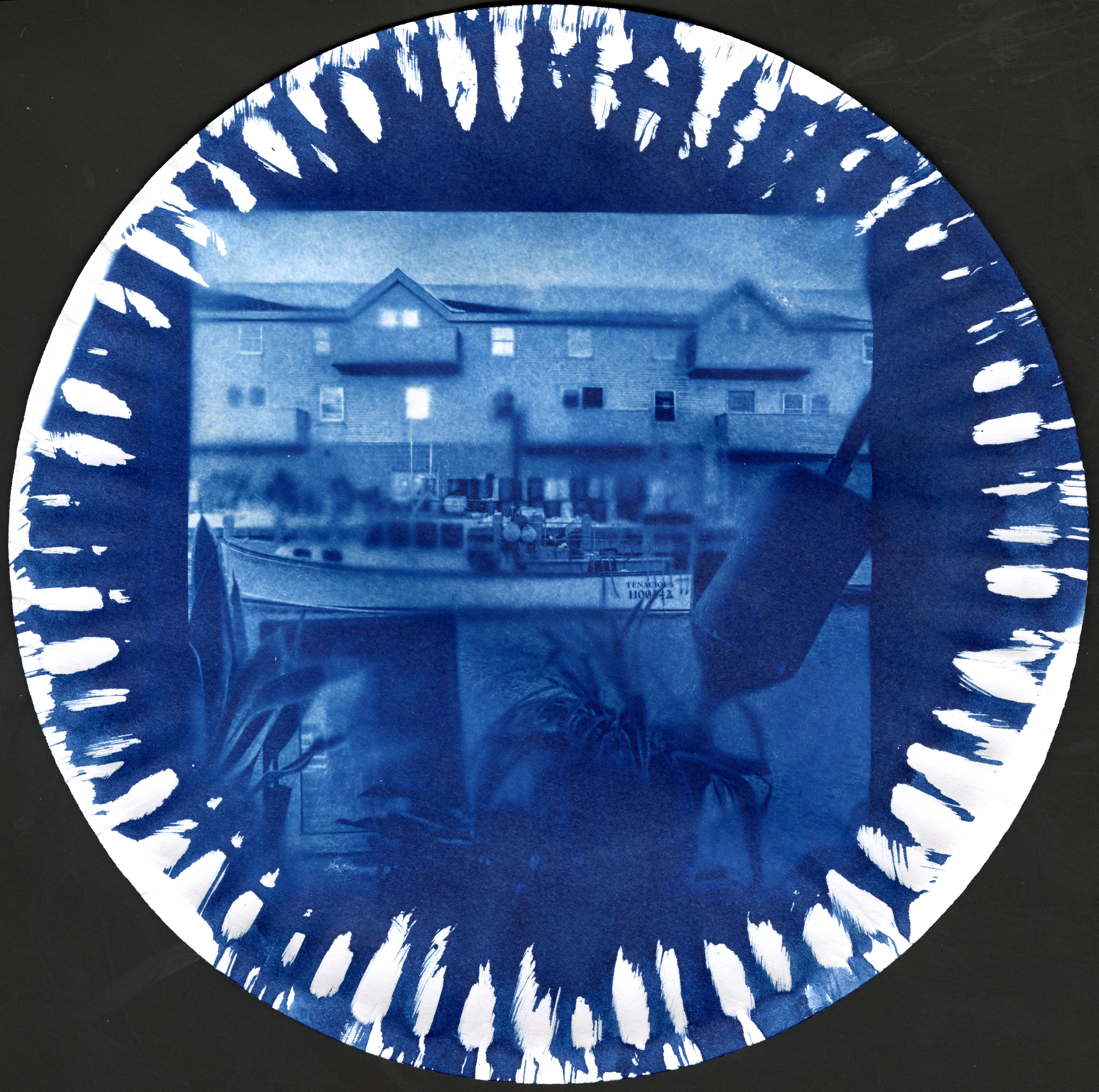 Cyanotype on paper plate