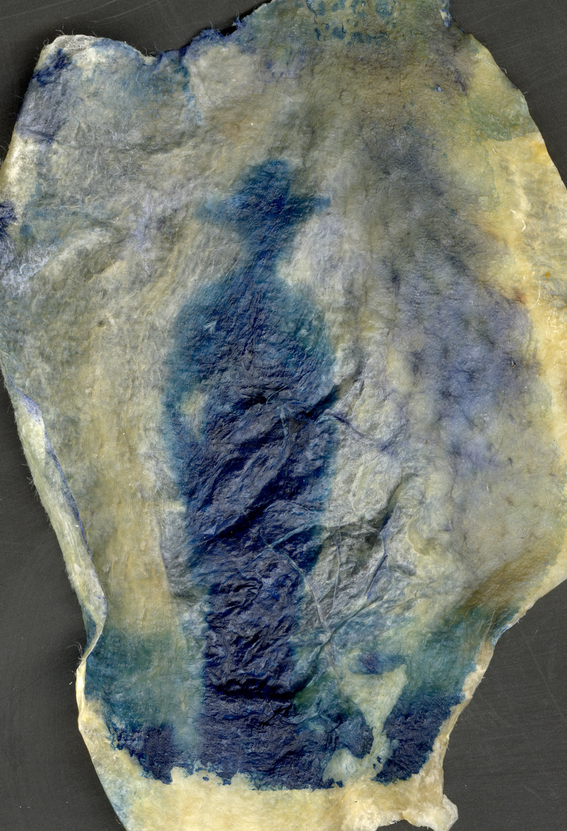Cyanotype on chicken skin