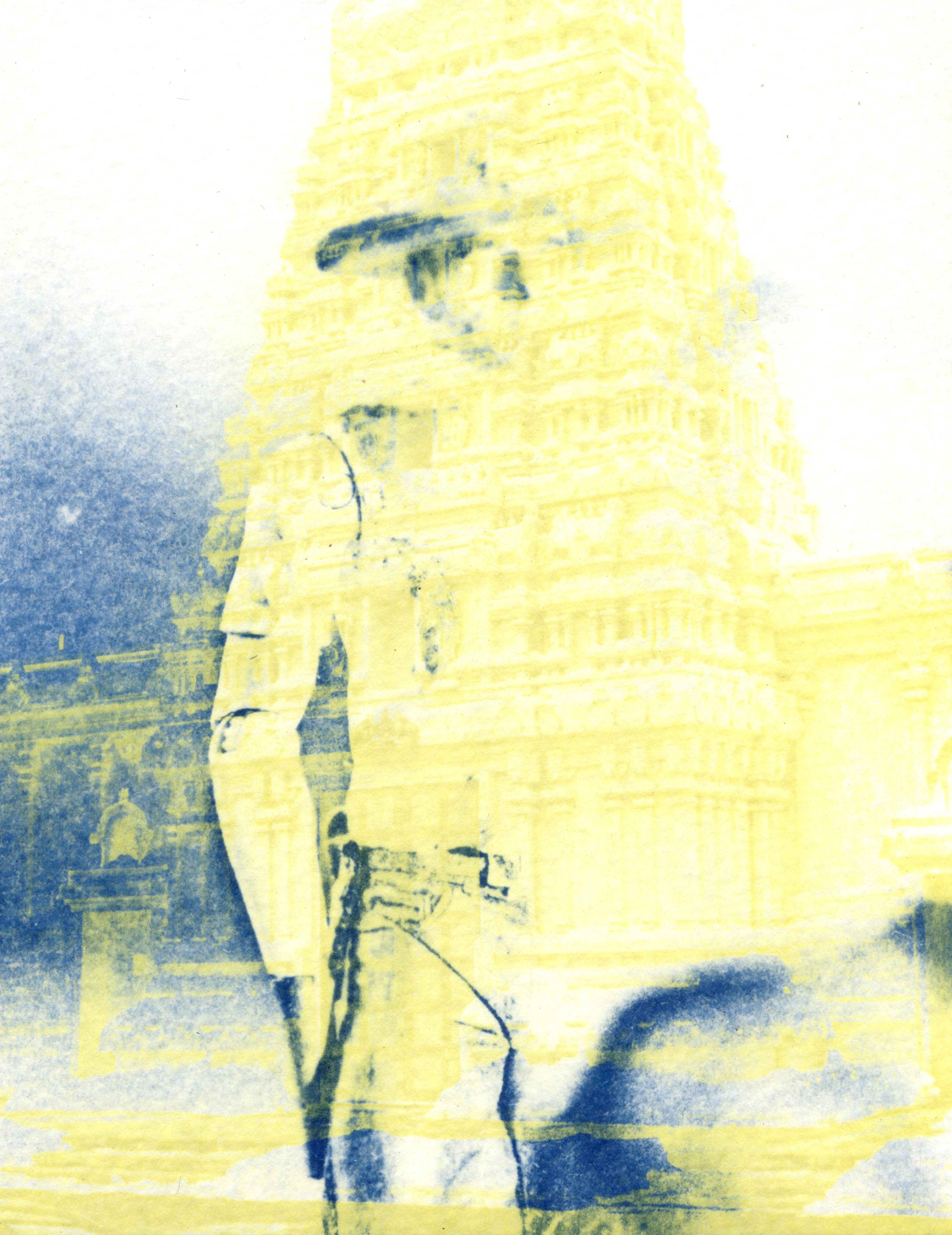 Cyanotype fusion with Gum Bichromate Print