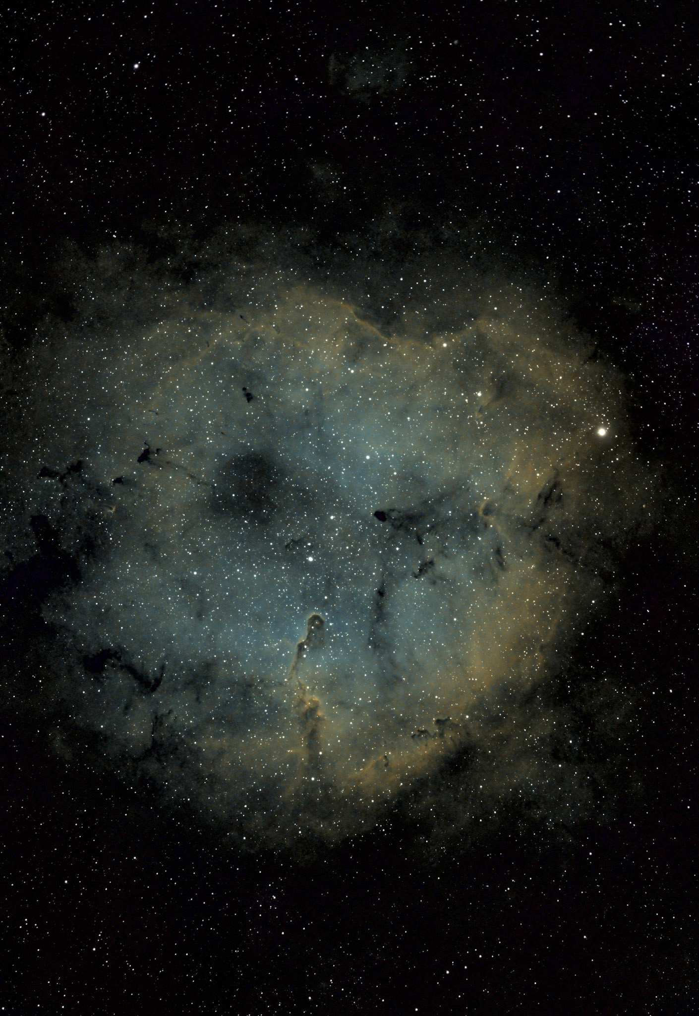 Elephant Trunk Nebula IC 1396 of Cepheus