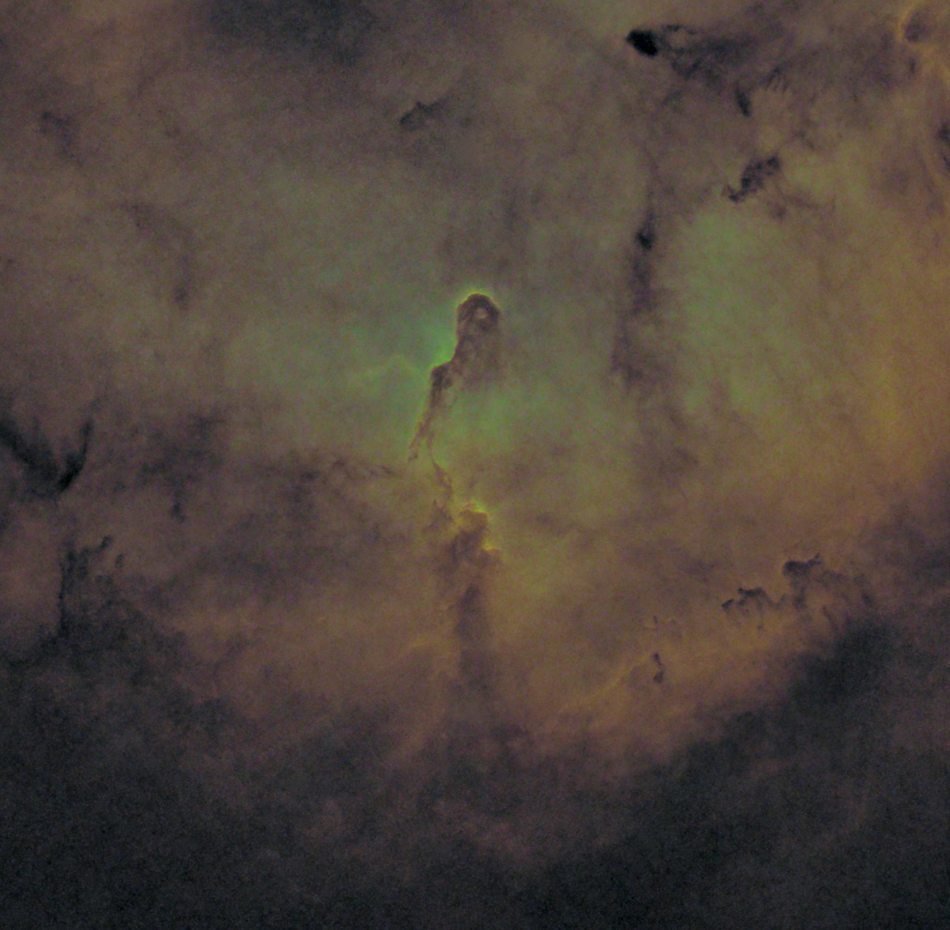 The Phantom lurking in Elephant Trunk