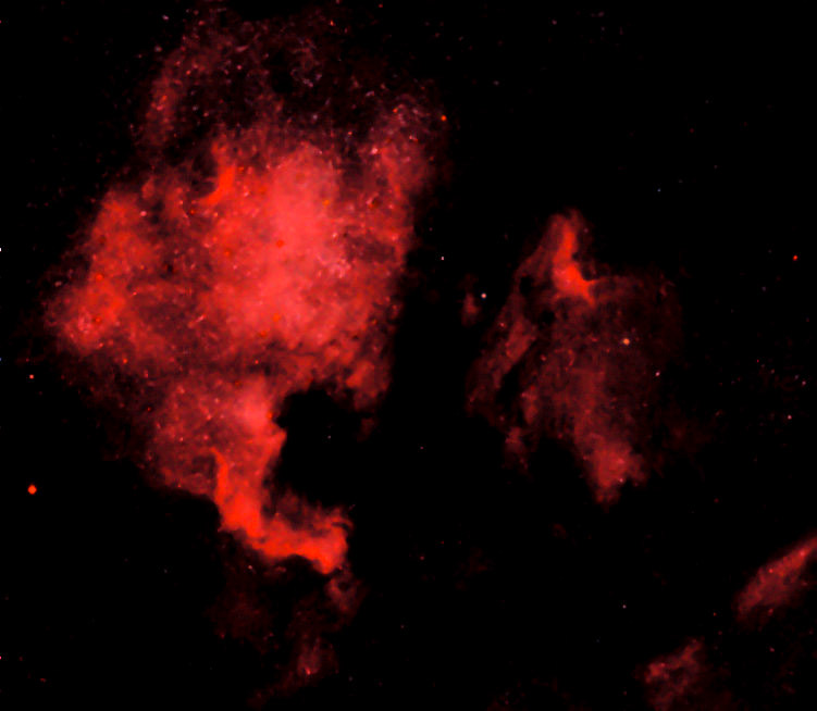 My first nebula , North American and Pelican Nebula in Cygnus - only an hour on dslr