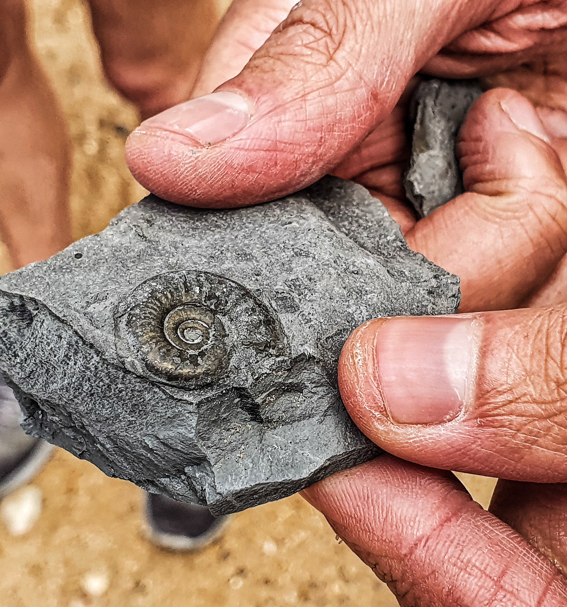 These are the hands of a 34 year old not a 78 year old.