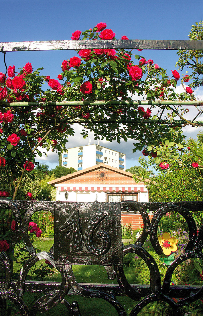 Schrebergarten, Tempelhof