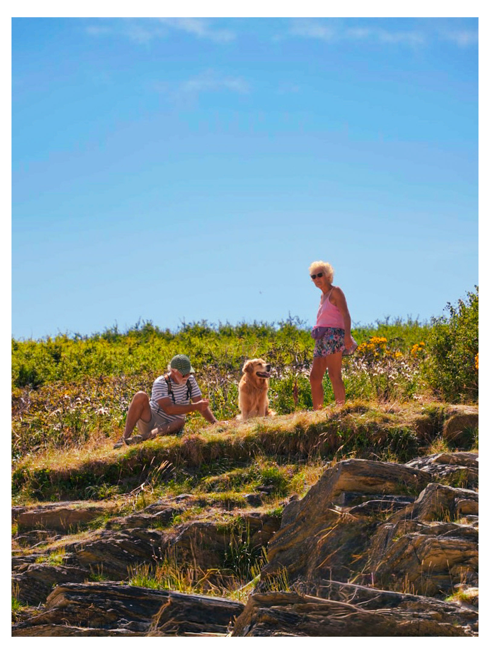 Padstow | July 2026