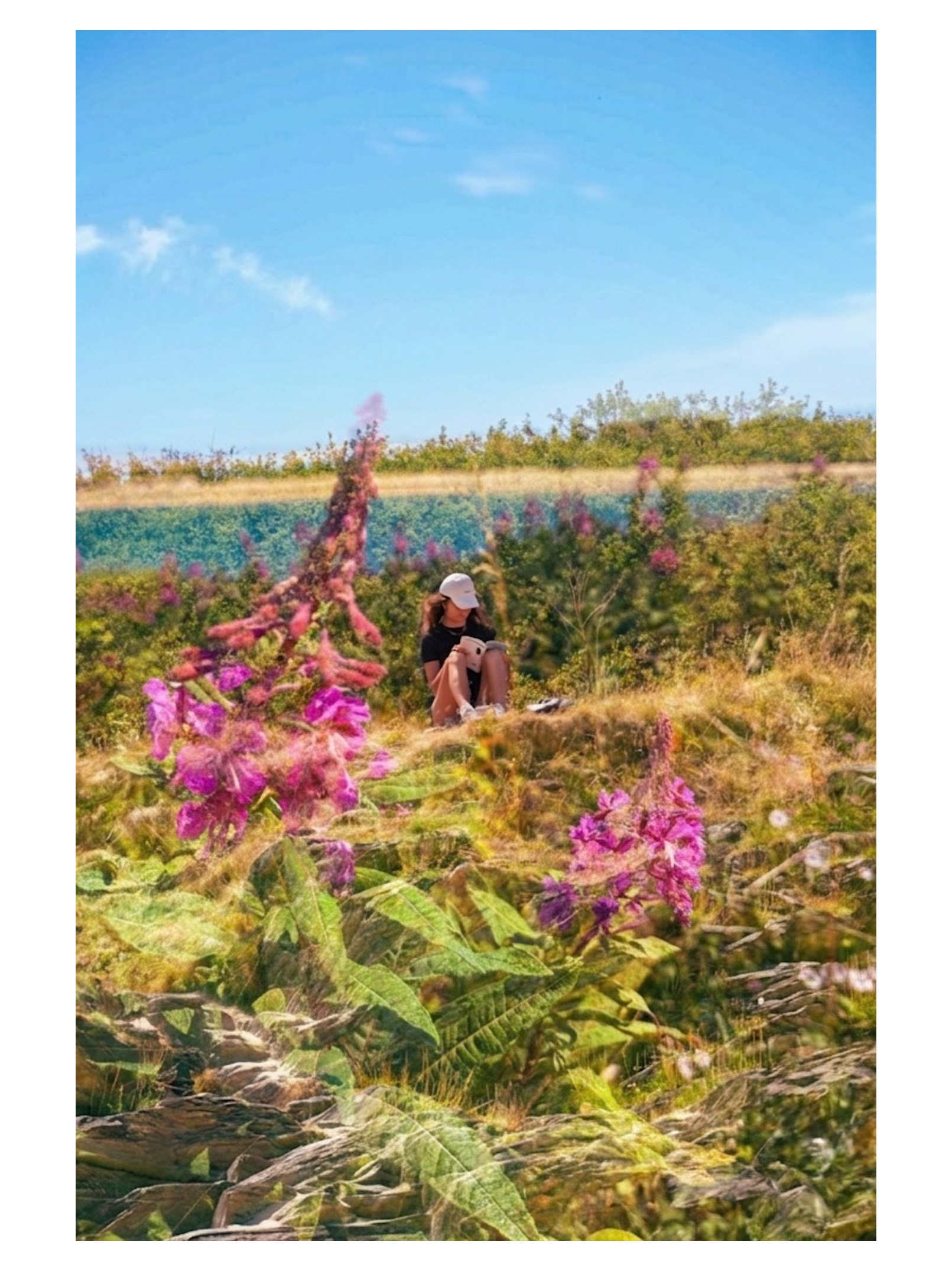 Padstow Double Exposure | July 2026