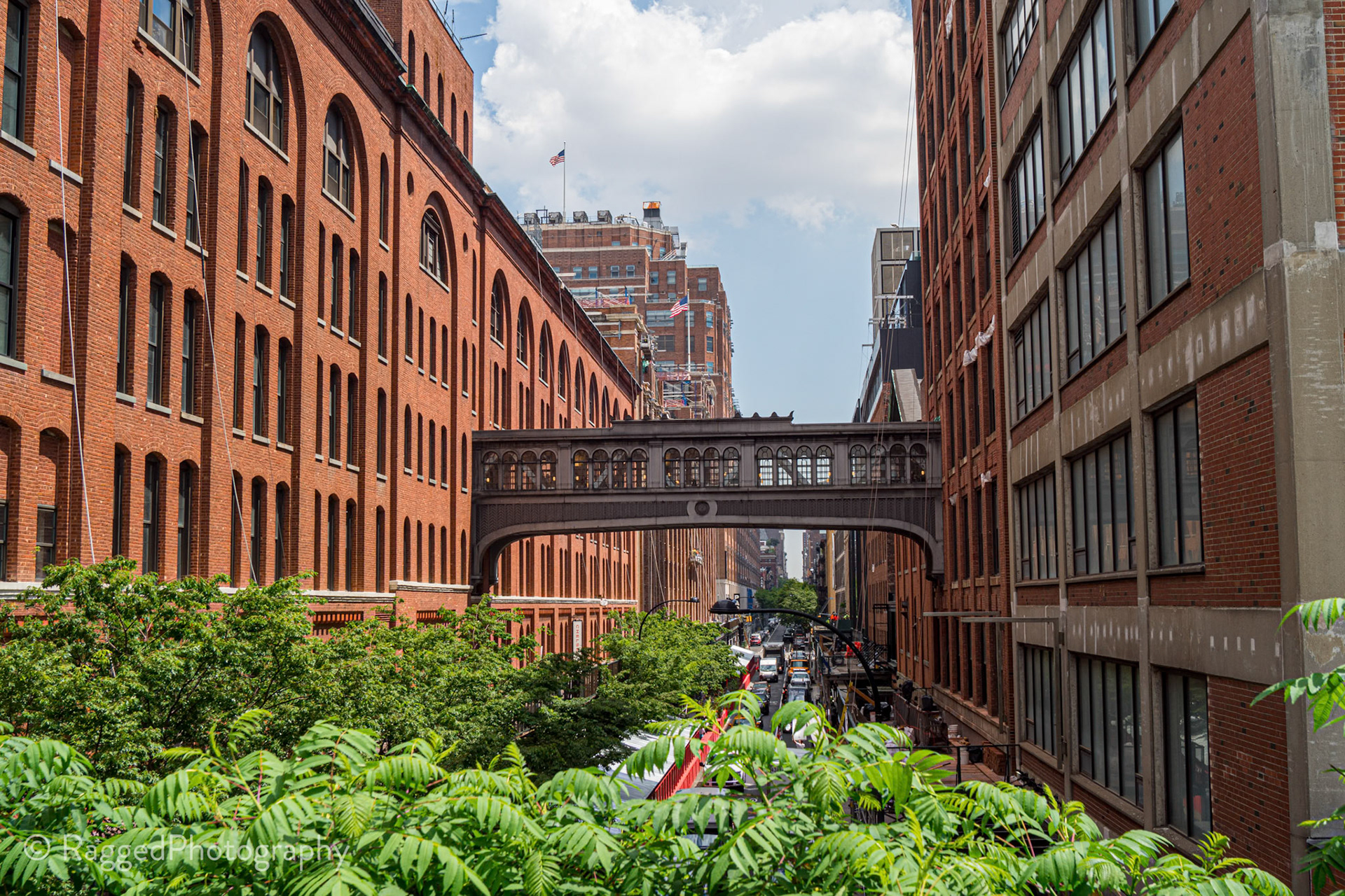 New York from the Sky Line