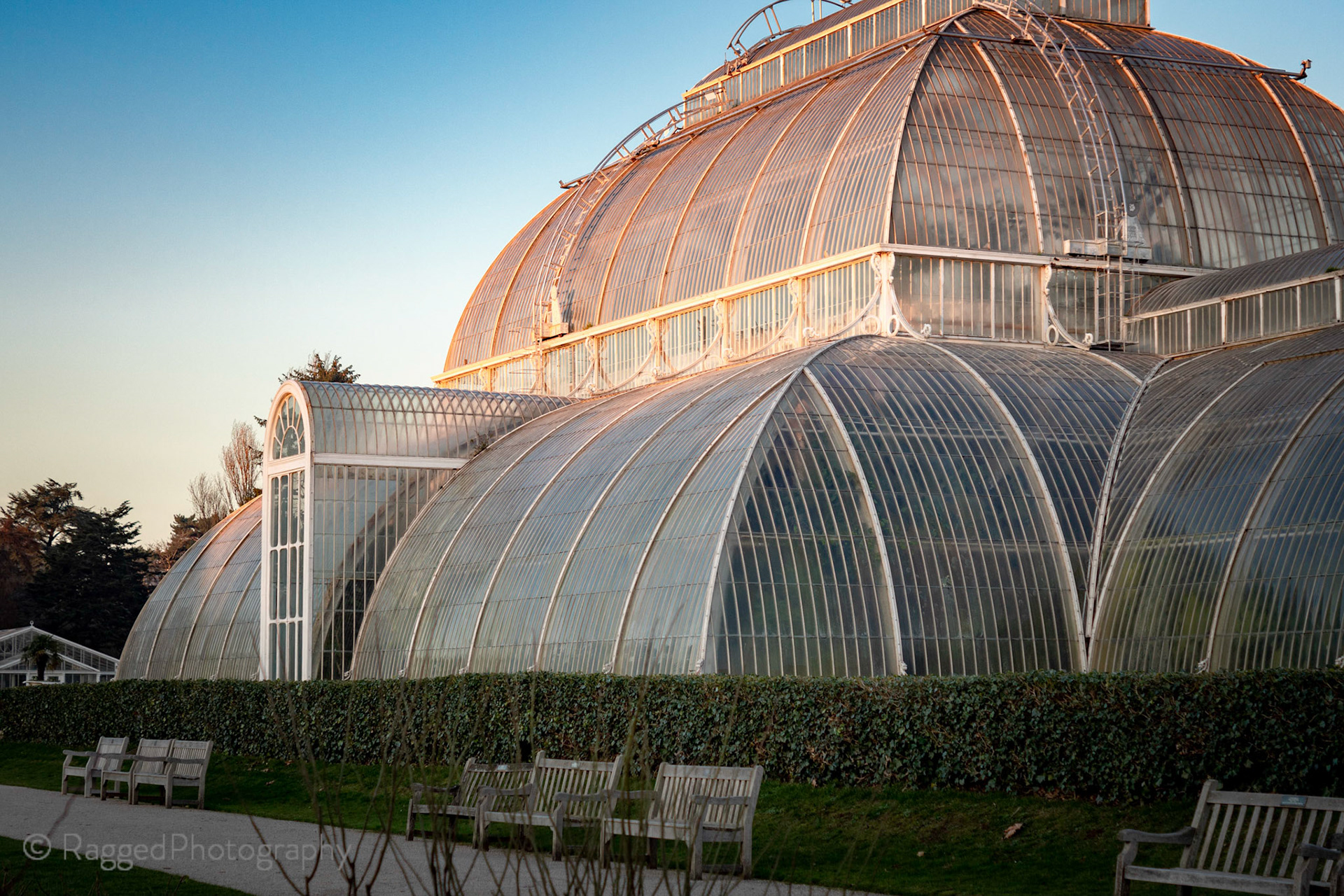 The Palm House at Kew Gardens