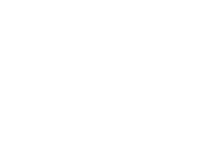 Pedro Fonseca Almeida