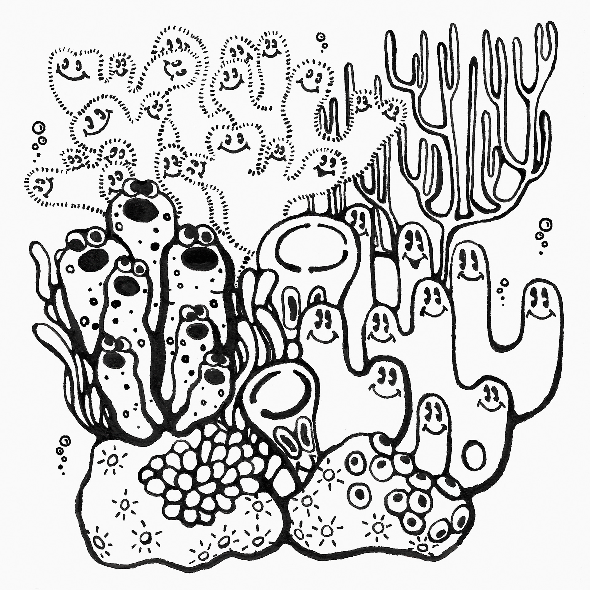 20. CORAL