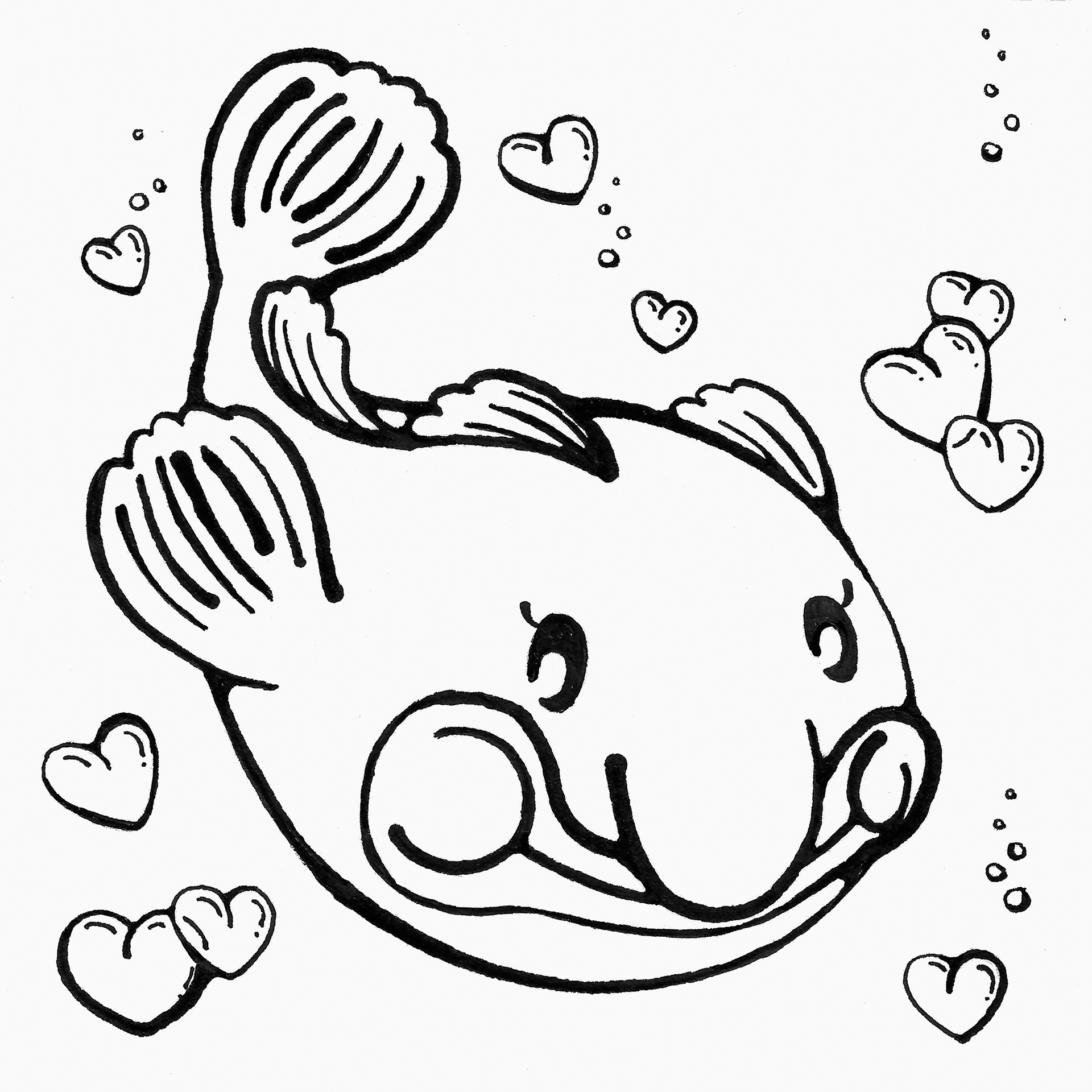01. FISH