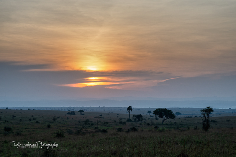 Sunset on the Savanna