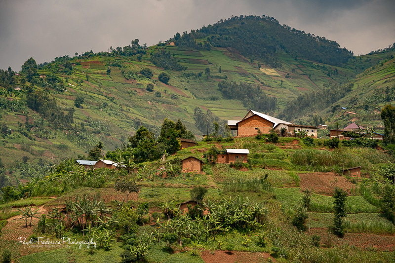 Rwandan Hills