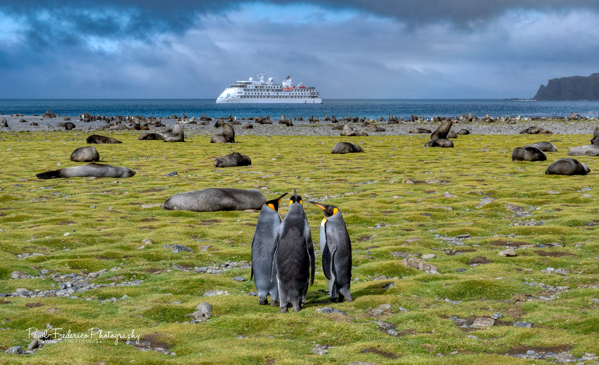 Hey - Look at That Ship!