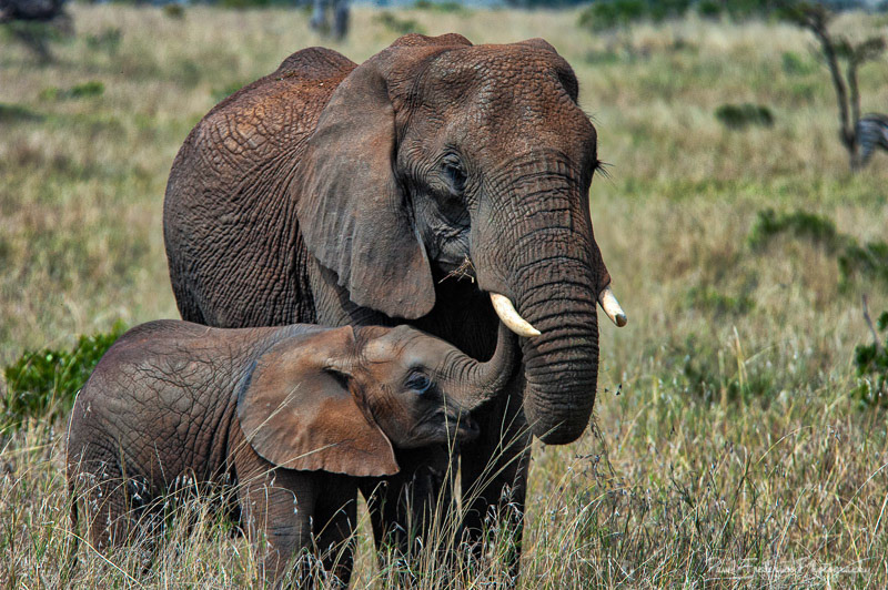 Mom and baby - S. Africa