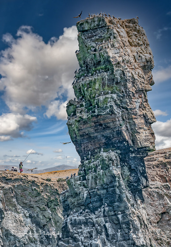 Palomino Islands - Lima, Peru