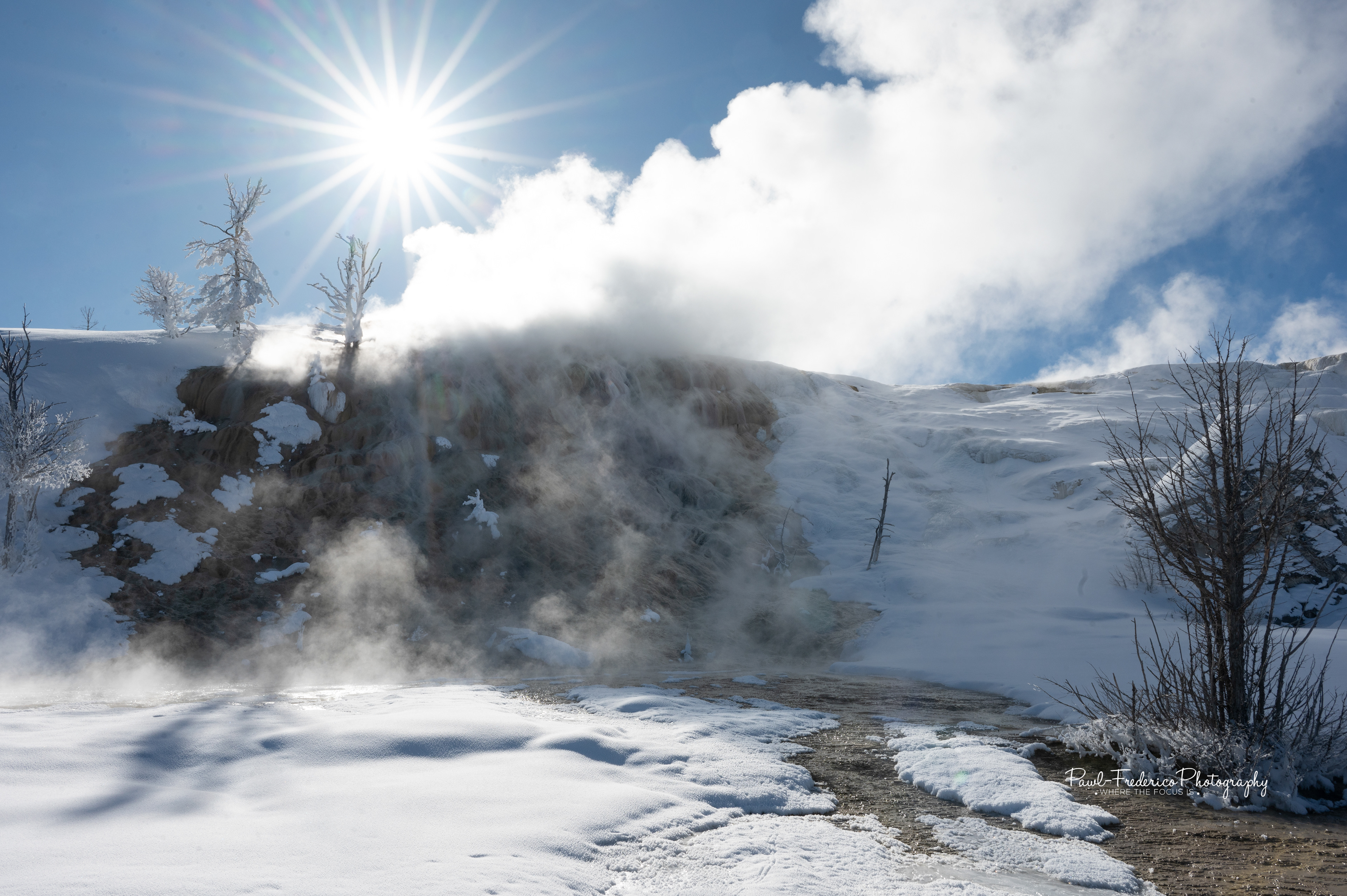 Mammoth Hot Springs