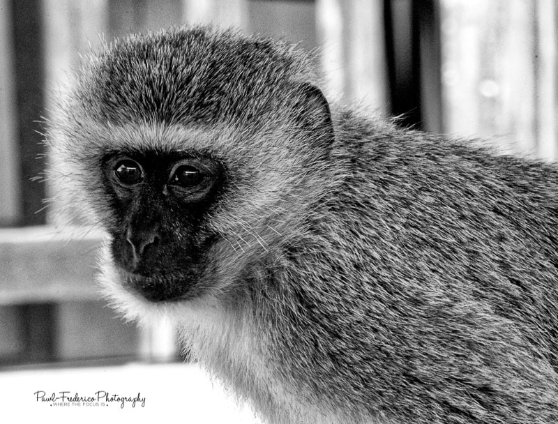 Tanzania