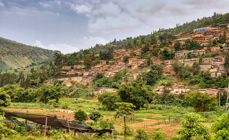 Mille Collines - Rwanda