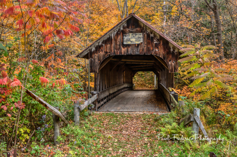 Blacksmith Shop Bridge - 1882