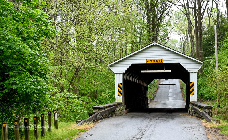 Linton Stevens - 1886