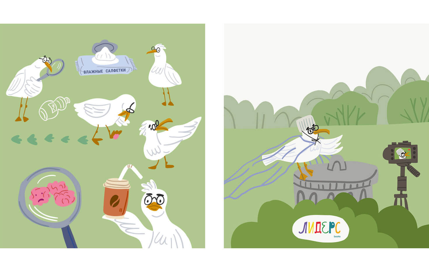 seagull character design and illustrations for non fiction activity book about ecology by Tatiana Vovchek
