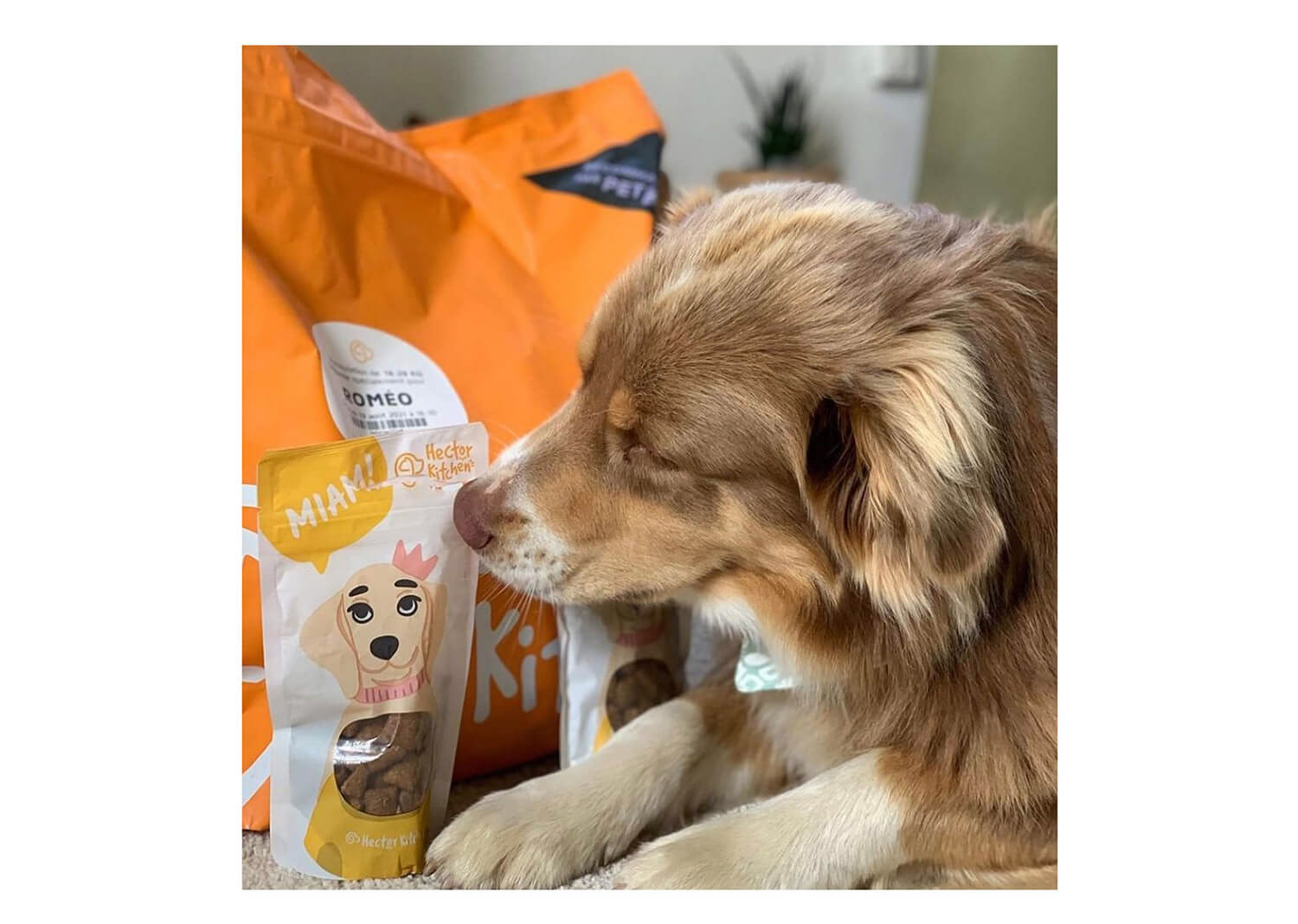 dog treats, illustrations and package design by Tatiana Vovchek