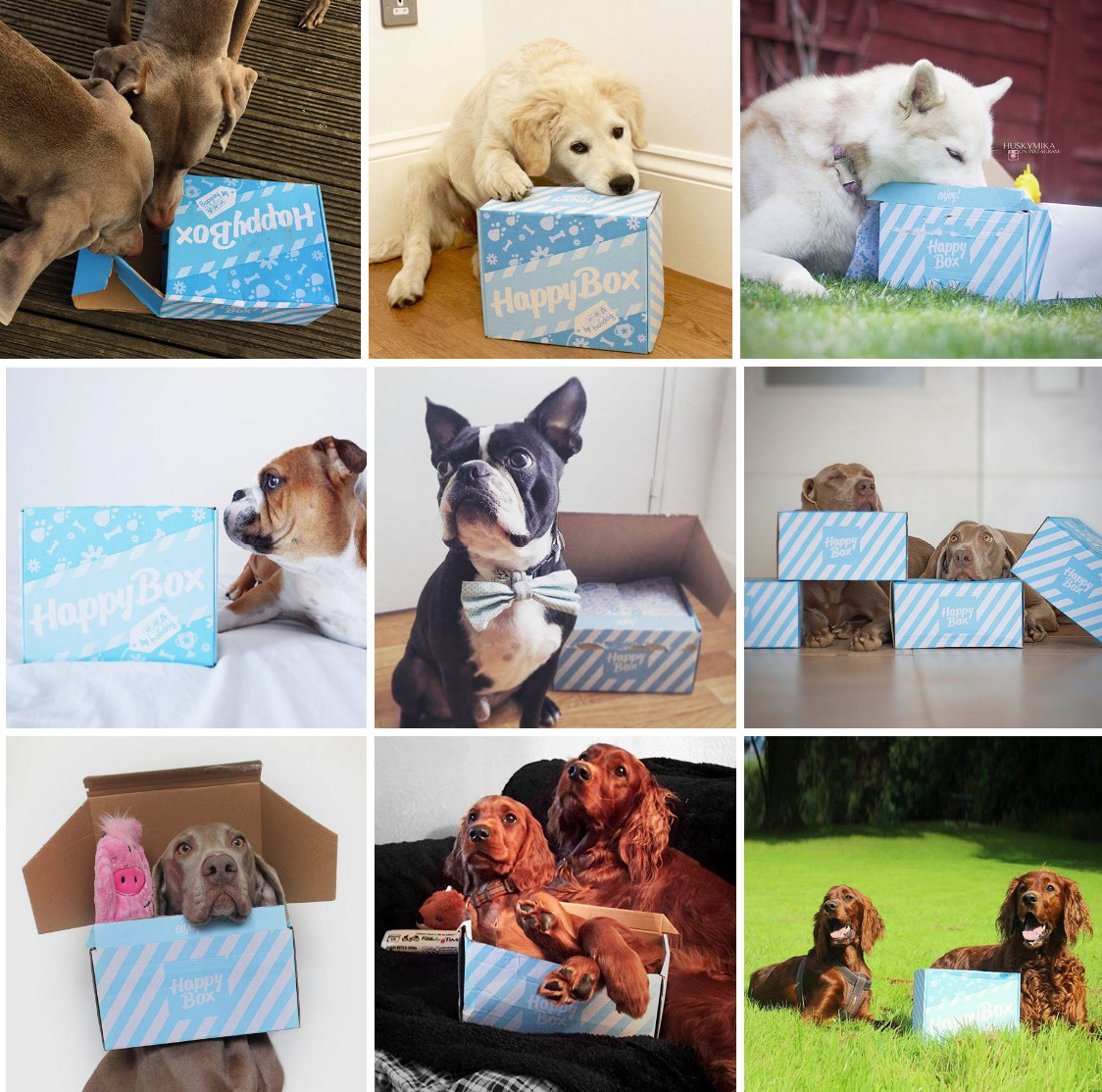 happy box package design, monthly subscription box design by Tatiana Vovchek